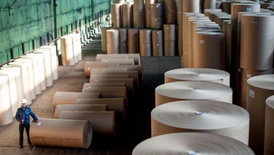 Новый целлюлозно-картонный комбинат построят в Беларуси