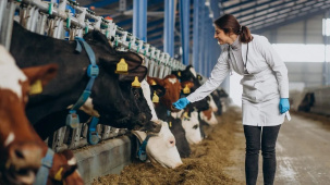 В Беларуси ощутимо увеличили выплаты для ряда работников аграрного сектора