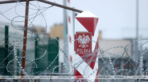 Сейм Польши продлил ограничение на подачу заявления о предоставлении убежища на границе с Беларусью