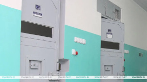 Супружеская пара из Бреста получила 16 лет колонии на двоих за мошенничество