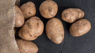 Совмин установил новые правила заготовки картофеля и яблок для стабфондов