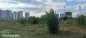 Что будет с пустырем в Юго-Восточном микрорайоне №4 города Бреста