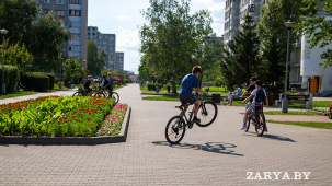 Что изменится в Правилах дорожного движения с 1 сентября