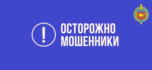 Главный бухгалтер организации Бреста решила стать инвестором, а стала пострадавшей