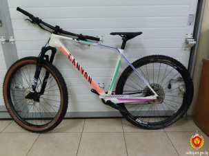 Брестчанке, которая везла из Польши б/у велосипед сына, дали крупный штраф. За что?