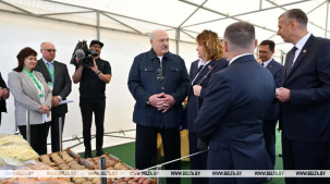 Лукашенко поручил ученым сделать устойчивый к болезням сорт картофеля