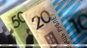 Ресурсы домашнего хозяйства белоруса во II квартале составили Br2790,4 в месяц