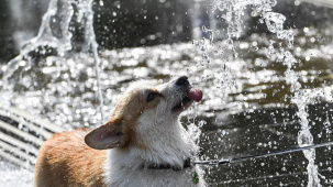 НАН Беларуси: за 10 лет в Беларуси потеплело на 1,5-3 градуса