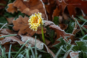 Сезон заморозков открыт: синоптик Рябов рассказал о погоде в конце сентября