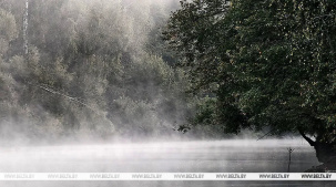 Какой погоды ждать белорусам на выходных, рассказали синоптики