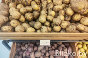 Урожай популярного корнеплода будет на 30% большем, чем 2024 году в Беларуси