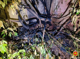 В Бресте мужчина пытался сжечь дерево, но загорелся гараж