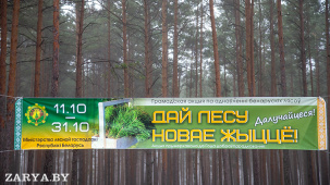 На Брестчине дали старт акции «Дай лесу новае жыццё»