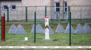 В Сейме Литвы заявили, что граница с Беларусью должна быть открытой для нормальной жизни