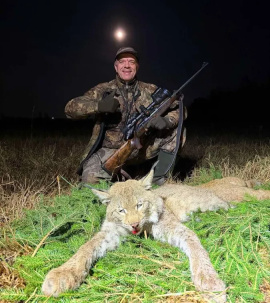 Впервые за 40 лет в Беларуси добыли трофей рыси