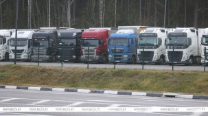 В каких условиях водители литовских грузовиков ждут открытия границы?