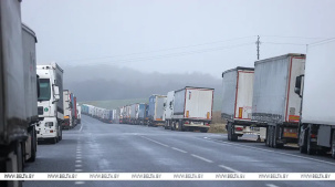 "Нас выкинули из игры, а поляки и латыши заработали". Литовские перевозчики о ситуации на границе