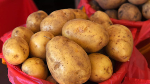 Шулейко: овощей в Беларуси заготовлено достаточно