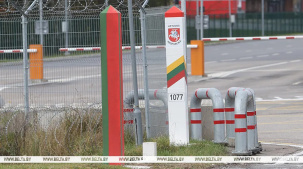 В Литве заявили, что закрытие границы с Беларусью привело к хаосу в стране