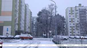Брест накрыл снегопад. На улицах города работают 25 единиц спецтехники, около 200 человек убирают снег