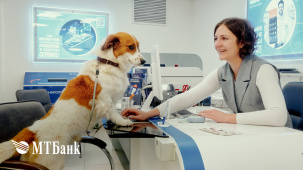 Лапки, уши и хвосты: МТБанк открыл благотворительный счет для помощи животным, а клиенты и сотрудники пришли в отделения с питомцами
