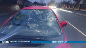 На ул. Сикорского в Бресте утром сбили 70-летнюю женщину