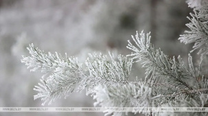 Когда в Беларуси ждать первых ощутимых зимних морозов, рассказали синоптики