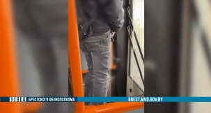 Брестчанин "перепутал" салон троллейбуса с уборной и справил малую нужду