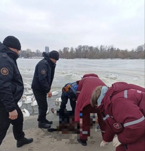 Пожилая женщина хотела покормить птиц на Мухавце в Бресте, упала в воду и утонула