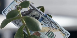 Доллар активно растет на фоне иранского конфликта. Сколько?