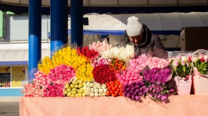 «Потеря урожая – 40 %». Продавцы тюльпанов рассказали, почему не будут снижать цены