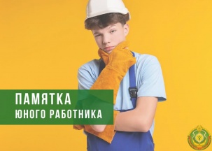 Минтруда разъяснило азы по первому трудоустройству