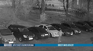 Брестчанин из ревности разбил чужой автомобиль