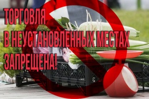 Власти напомнили жителям Бреста простую истину: запрещено торговать везде, кроме этих мест