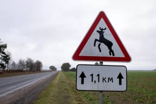 Лукашенко подписал закон, касающийся владельцев и пользователей автодорог