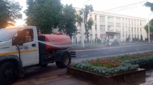 Сколько тонн воды выливает на цветы спецтехника в Бресте за один рейс