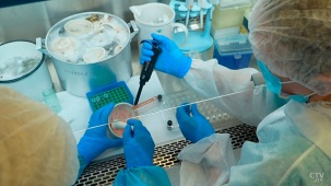 В Беларуси природных очагов чумы нет – эпидемиолог
