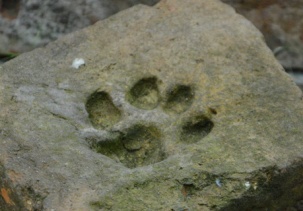 Свидетели нашей истории