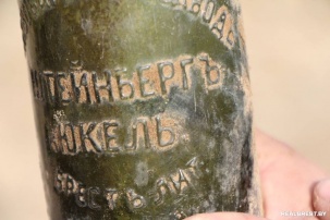 По следам находок в Городском саду