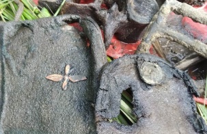 В Брестской области нашли советский бомбардировщик, сбитый 75 лет назад