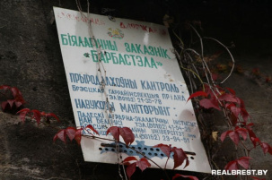 Знакомьтесь - заказник «Барбастелла»