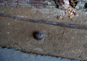 Отбойные тумбы в проезде Тереспольских ворот Брестской крепости. Как они оказались под землёй?