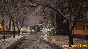 Внимание! На улицах Бреста скользко!