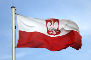 На военном полигоне в Польше во время учений по подрыву тротила погибли два человека