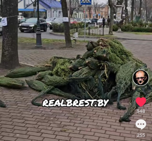 Что будет с ёлками, которые не продали? Узнали в Бресте