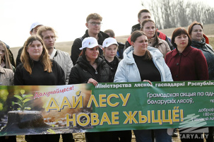 Первый регион присоединился к республиканской акции «Дай лесу новае жыццё!»