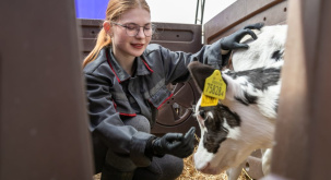 Как решают вопрос закрепляемости кадров на Столинщине