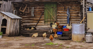 Белорусов будут бить рублем за непорядок – новые правила благоустройства