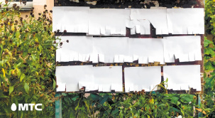 Нарушая тишину: 3 тысячи жителей и гостей страны посетили выставочный проект при поддержке МТС