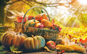 Минсельхозпрод Беларуси: планы на урожай не меняются